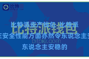比特派资产钱包 比特派钱包在安全性能方面亦然令东说念主安稳的