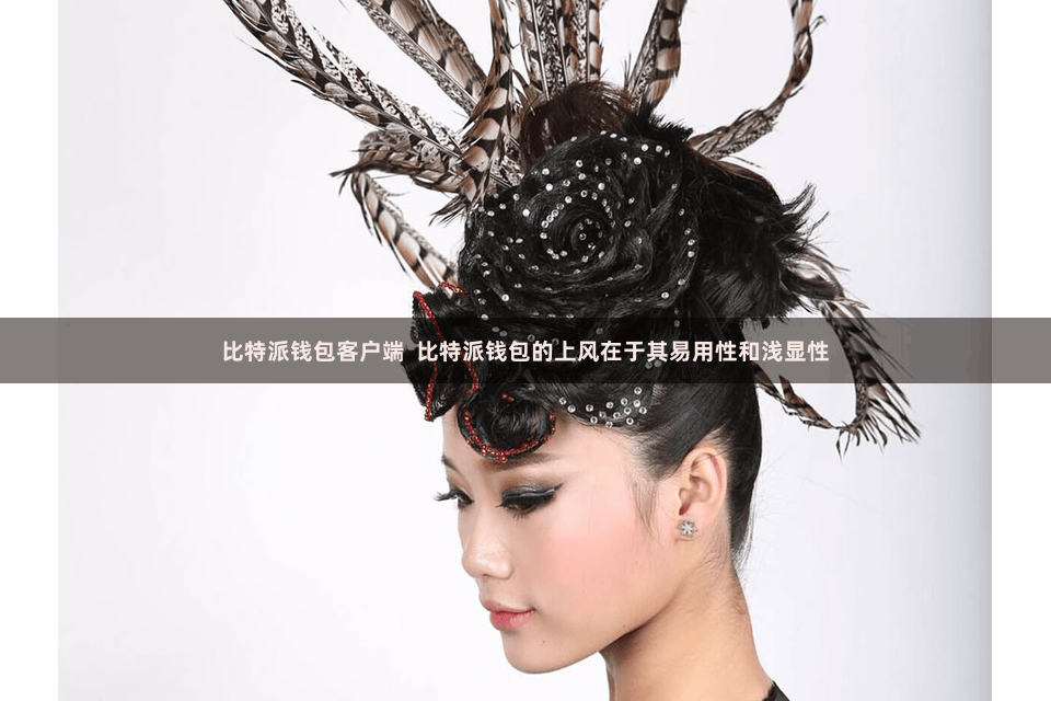 比特派钱包客户端 比特派钱包的上风在于其易用性和浅显性