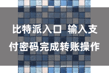 比特派入口 输入支付密码完成转账操作