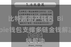 比特派资产钱包  Bitpie钱包支撑多链金钱解决