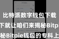 比特派数字钱包下载 底下就让咱们来揭秘Bitpie钱包的专科上风