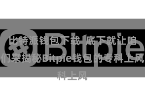 比特派钱包下载  底下就让咱们来揭秘Bitpie钱包的专科上风
