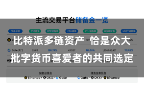 比特派多链资产  恰是众大批字货币喜爱者的共同选定