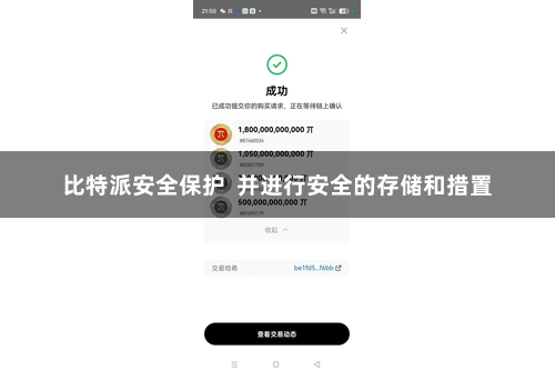 比特派安全保护  并进行安全的存储和措置