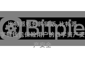 比特派钱包跨链版  比特派数字链钱包保险用户的数字资产安全