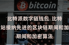 比特派数字链钱包  比特派官方站接纳先进的区块链期间和加密算法