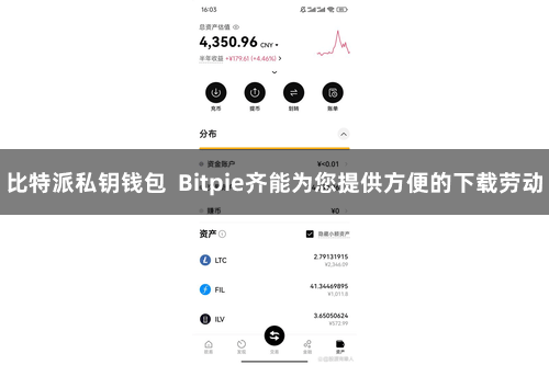 比特派私钥钱包  Bitpie齐能为您提供方便的下载劳动