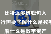 比特派多链钱包入口  外行需要了解什么是数字资产