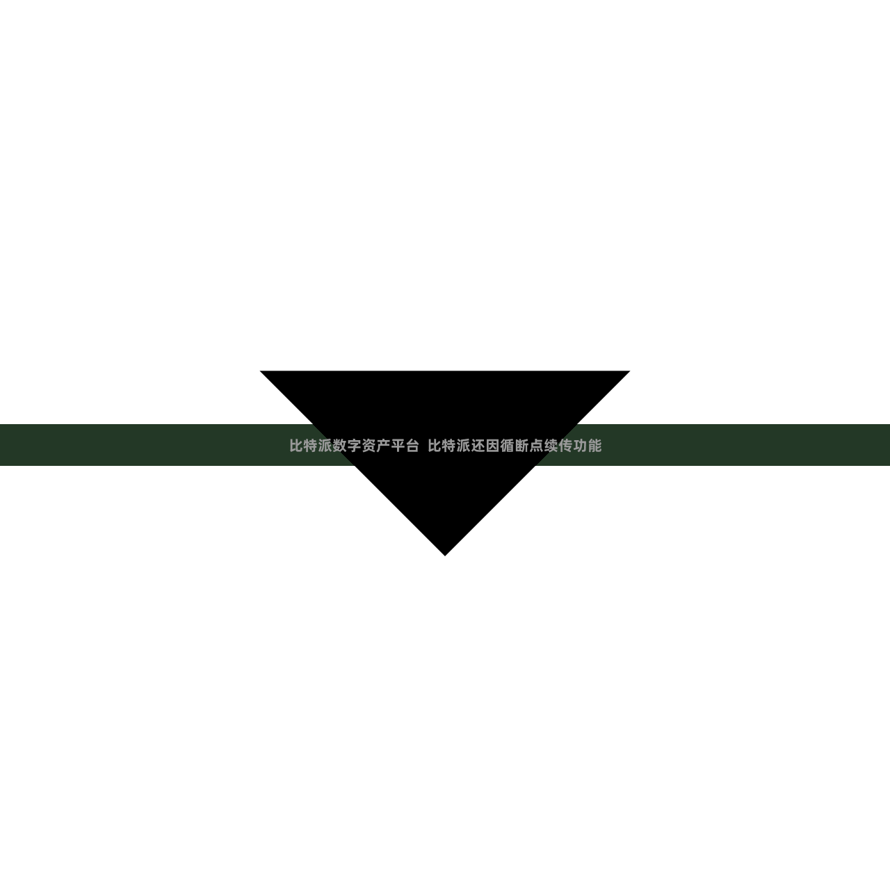 比特派数字资产平台 比特派还因循断点续传功能