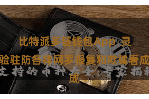 比特派多链钱包App 灵验驻防各样网罗报复和欺骗看成