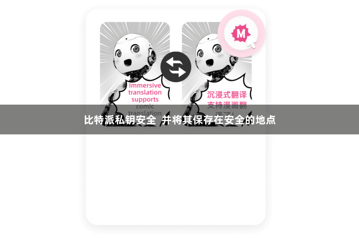 比特派私钥安全  并将其保存在安全的地点