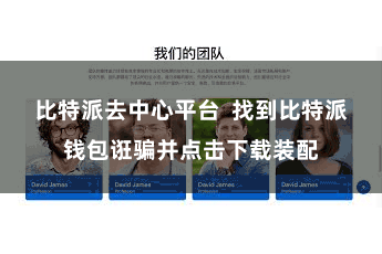 比特派去中心平台  找到比特派钱包诳骗并点击下载装配